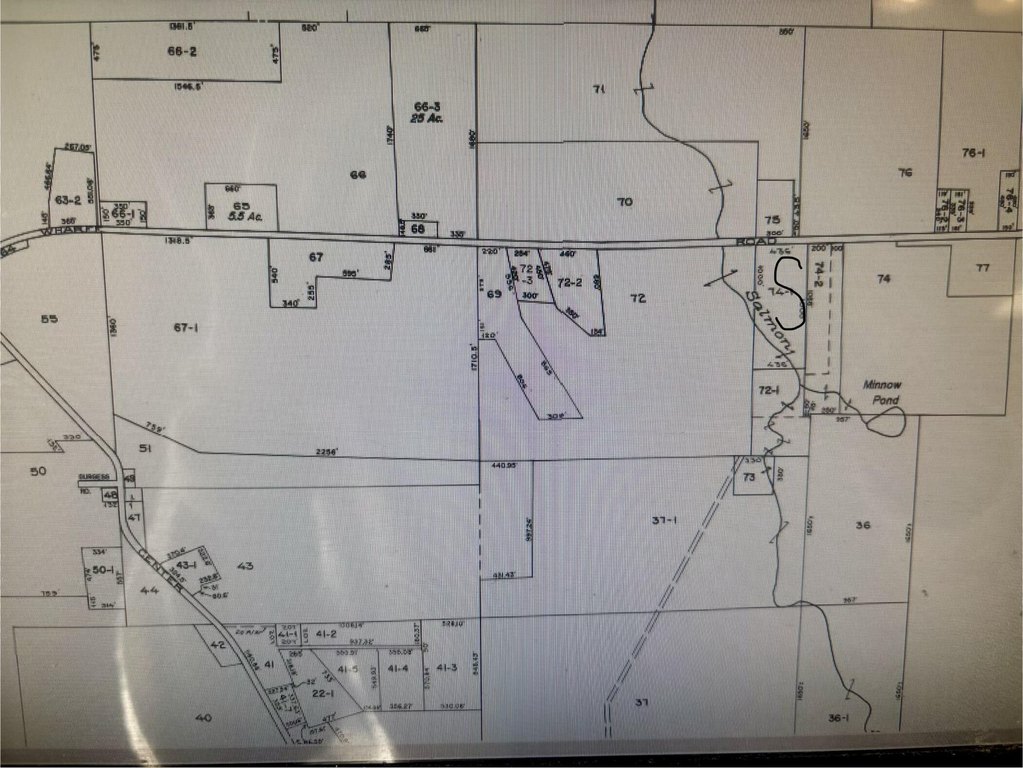 Picture 2
