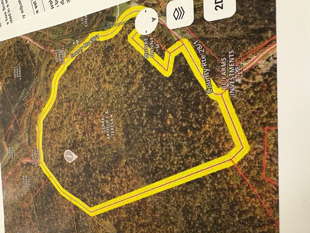 Picture 5