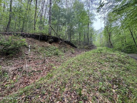 Secluded Wooded Acreage in Del Rio