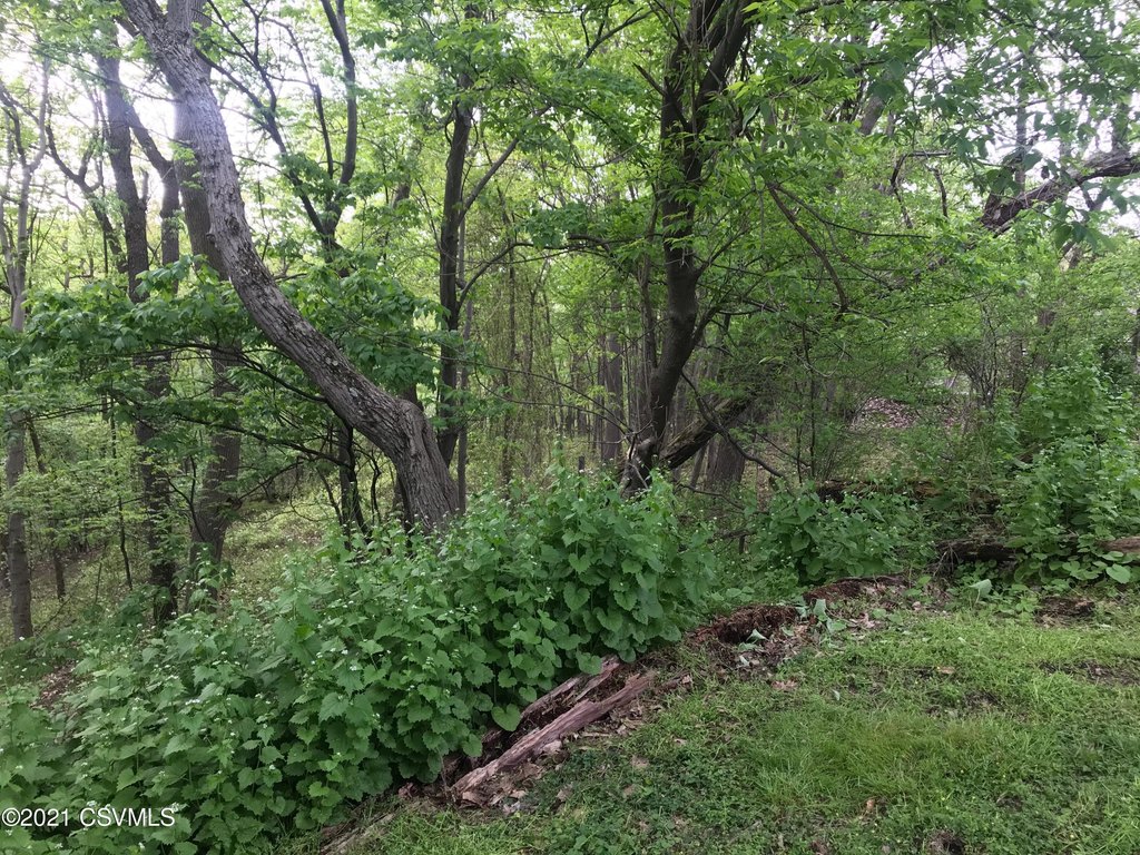 Picture 3