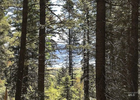 Scenic Lot Near Tamarack Resort