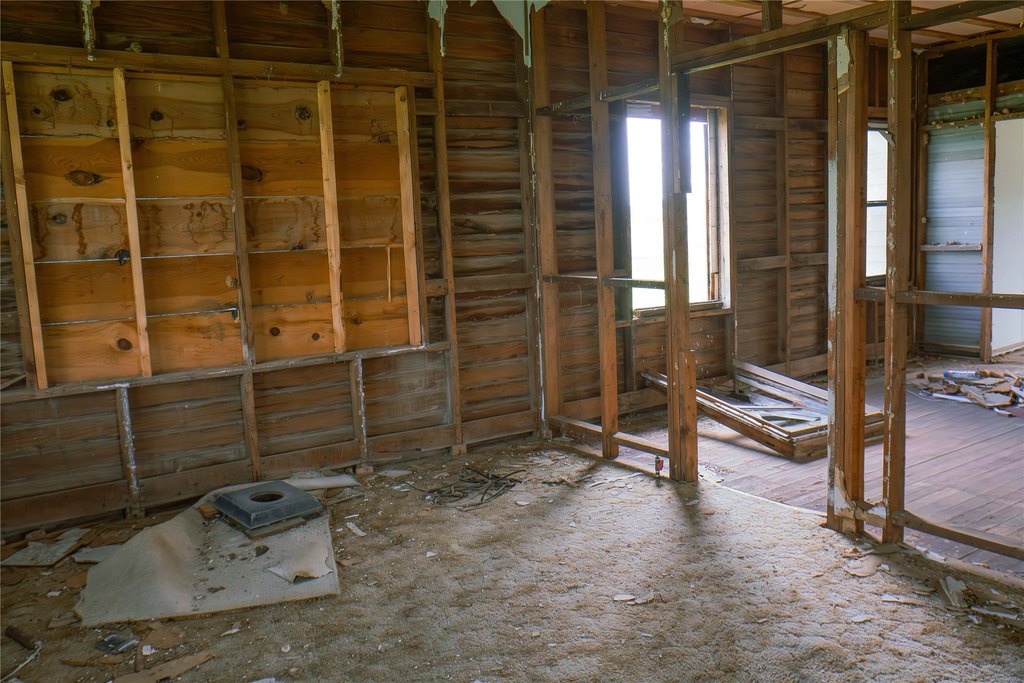 Picture 12