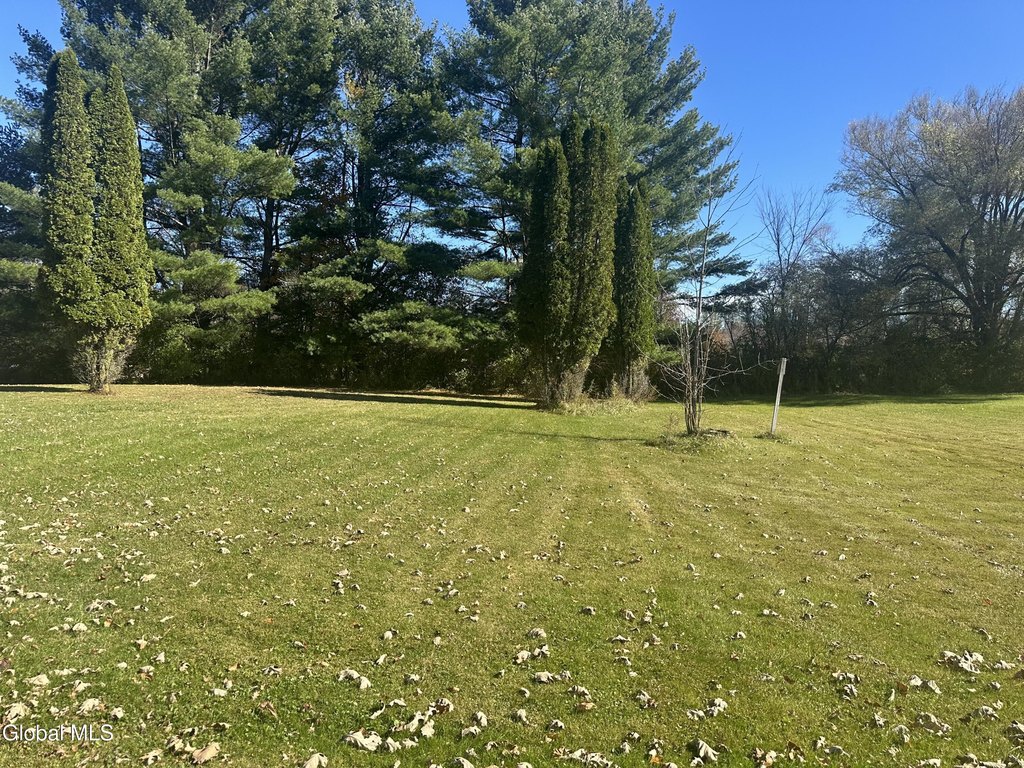 Picture 3