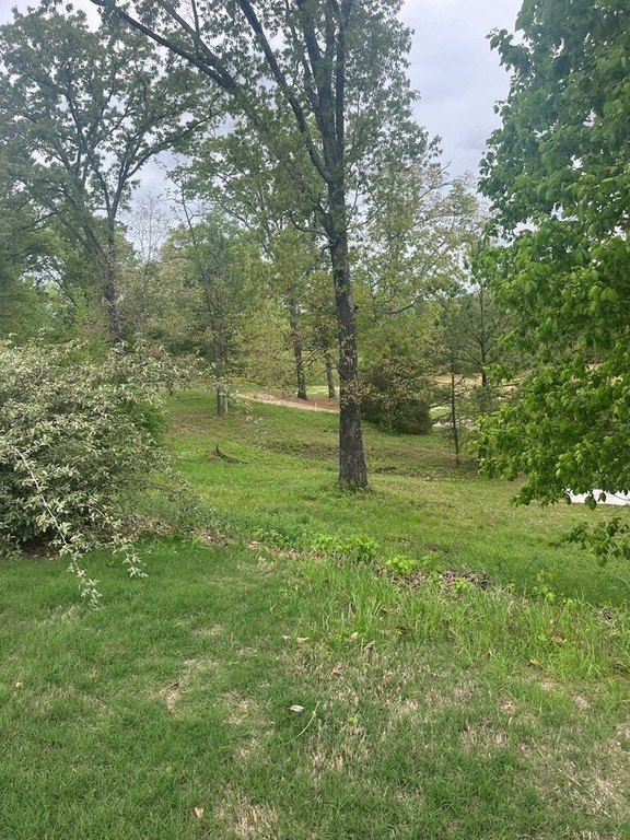 Picture 2