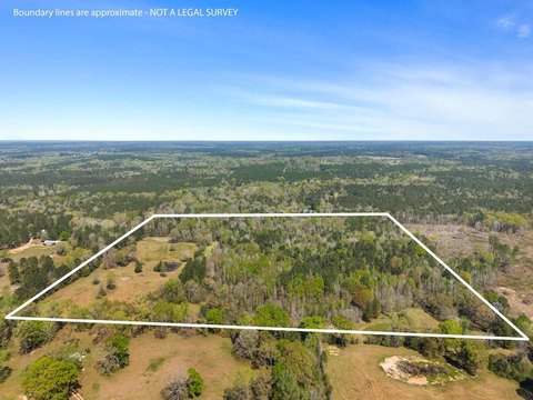 32 Acres in Poplarville
