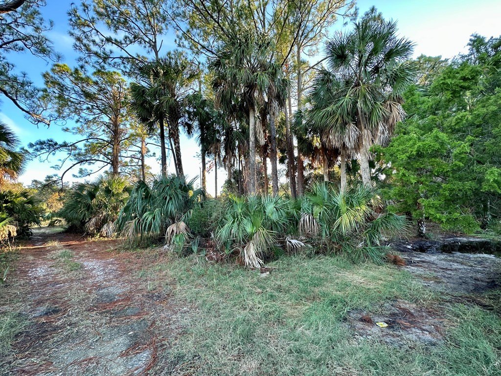 Picture 14