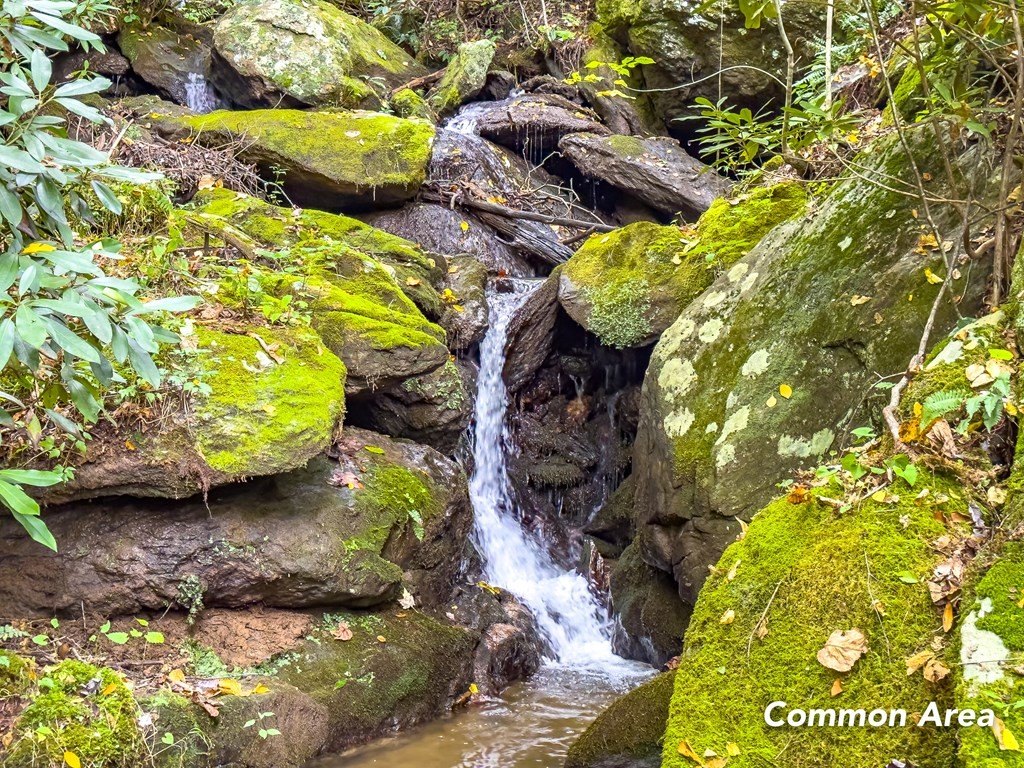 Picture 32
