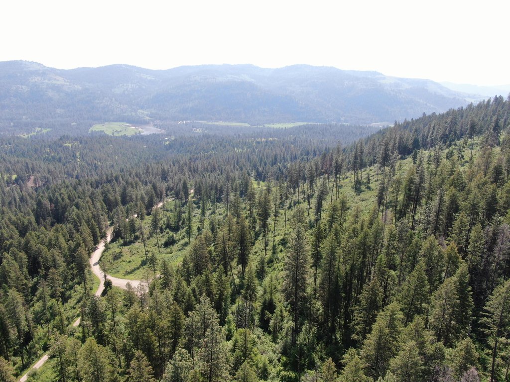 Picture 8