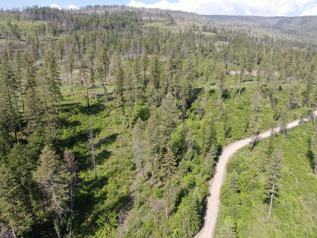 Picture 9