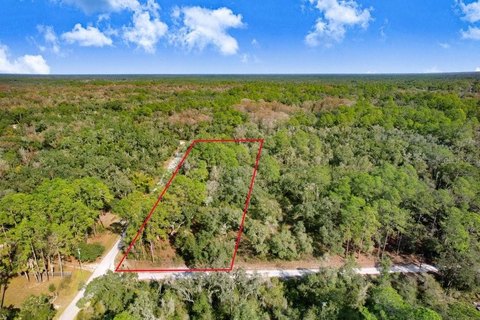 Wooded Residential Home Lot