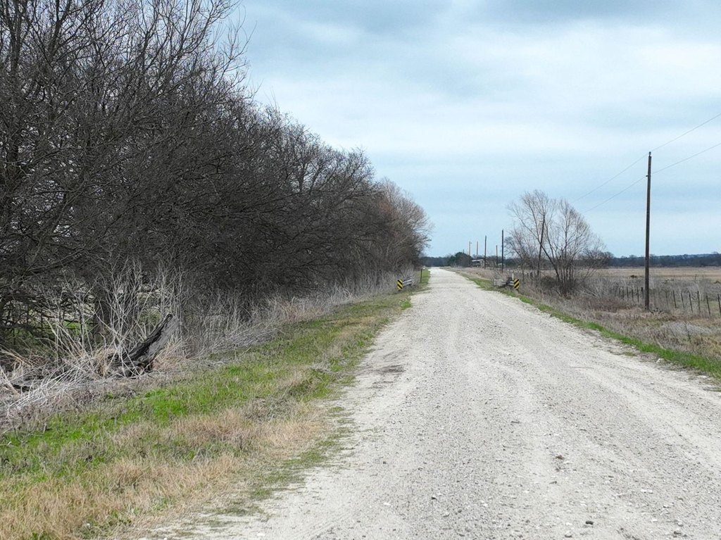 Picture 8