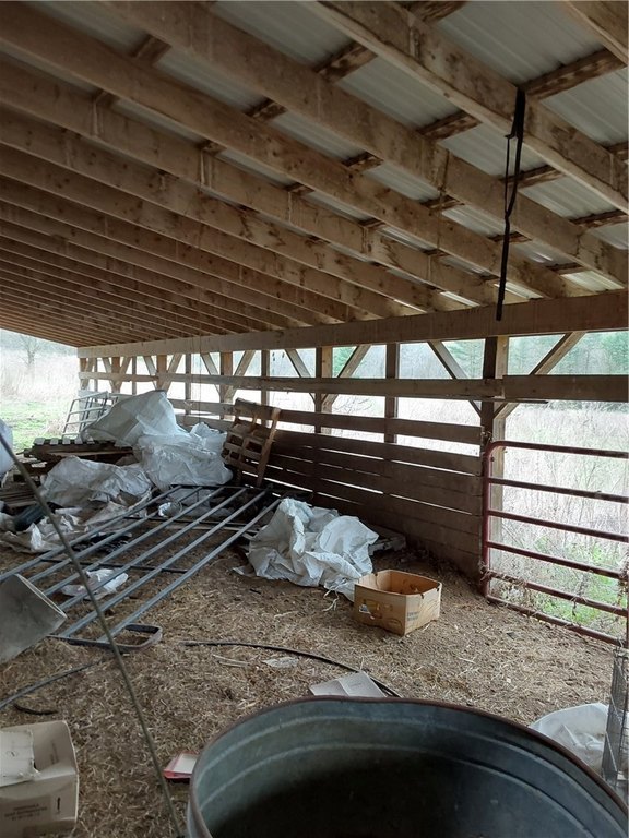 Picture 17