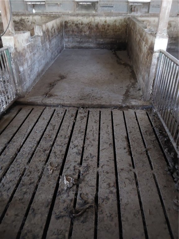 Picture 16