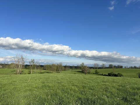 Georgetown, KY Land For Sale