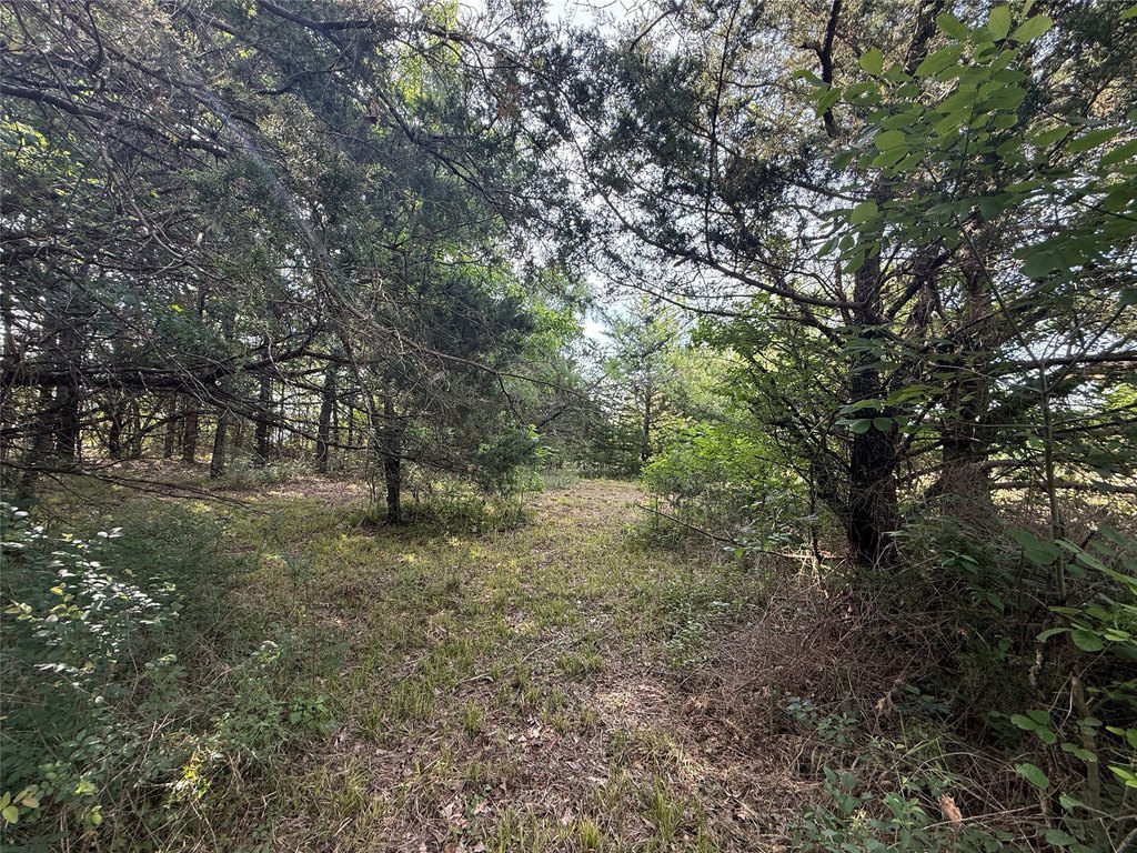 Picture 3