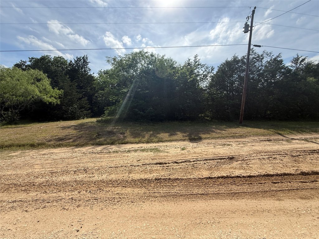 Picture 16