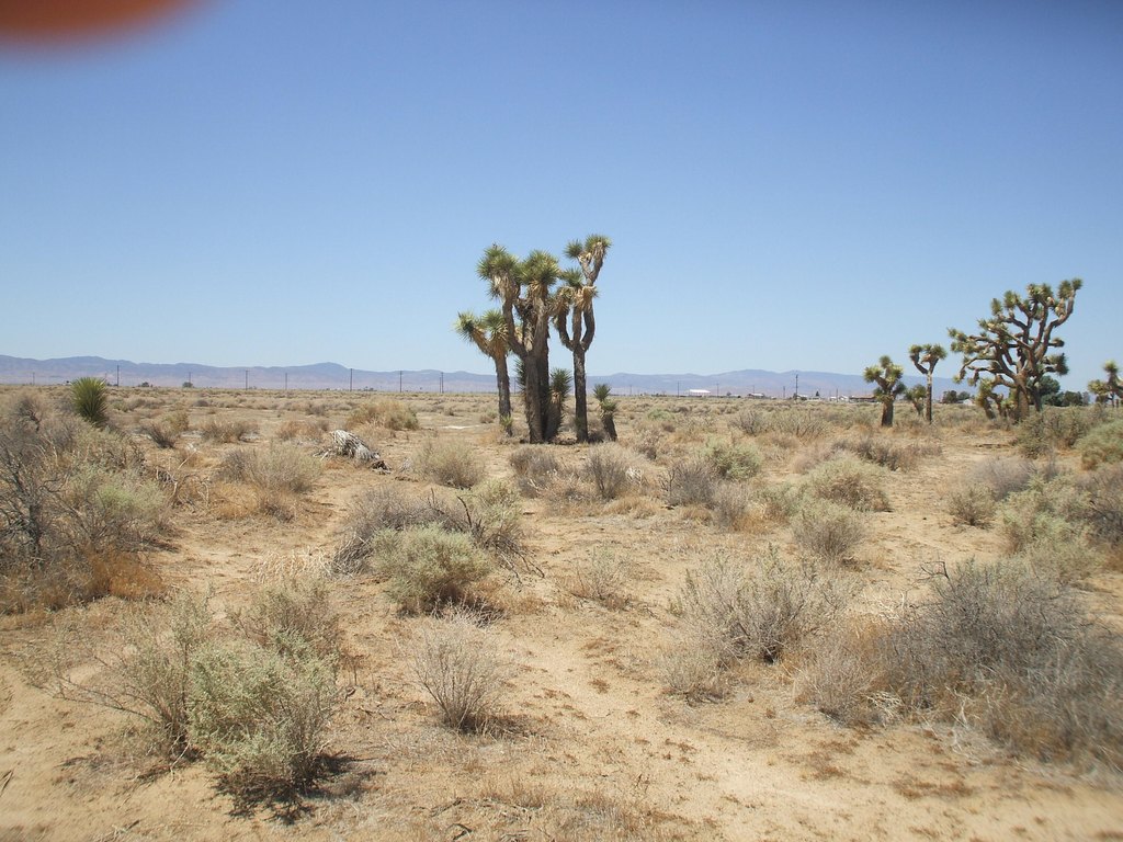Picture 7