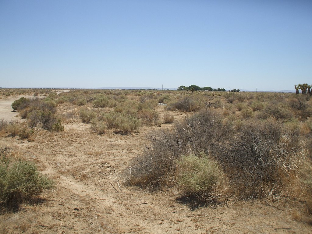 Picture 9