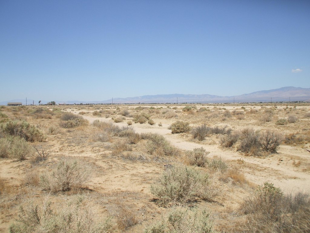 Picture 6