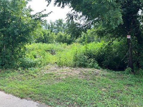 LAND - Middlebrook, MO