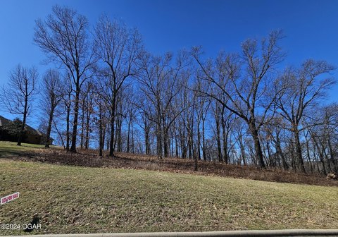 Residential Land in Joplin, MO