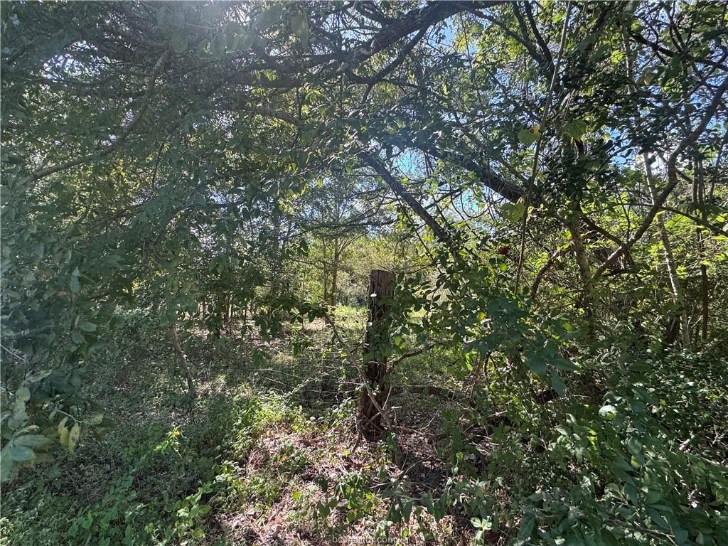 Picture 15