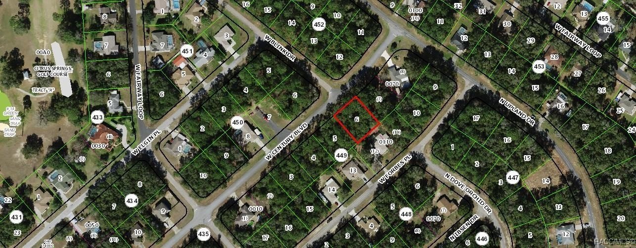 Citrus Springs Land Homesite