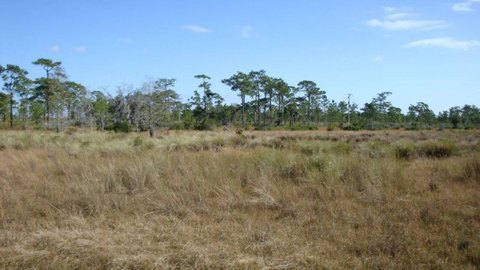 Recreational Off-Grid Land Parcel