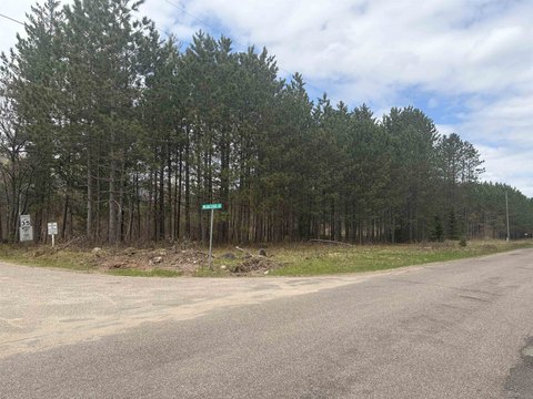 Wooded Land Near Tomahawk, WI
