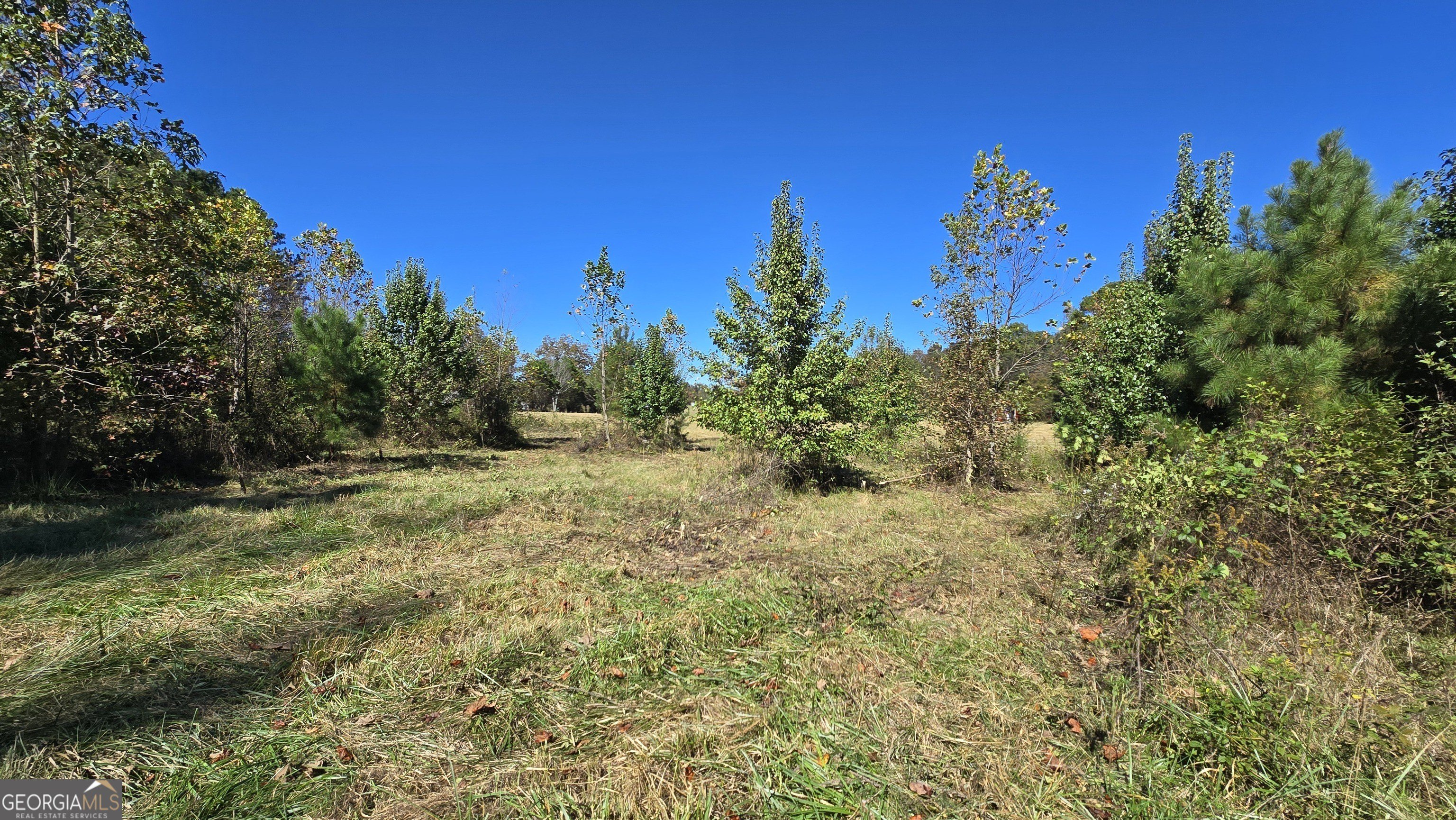 Land for North Georgia Home
