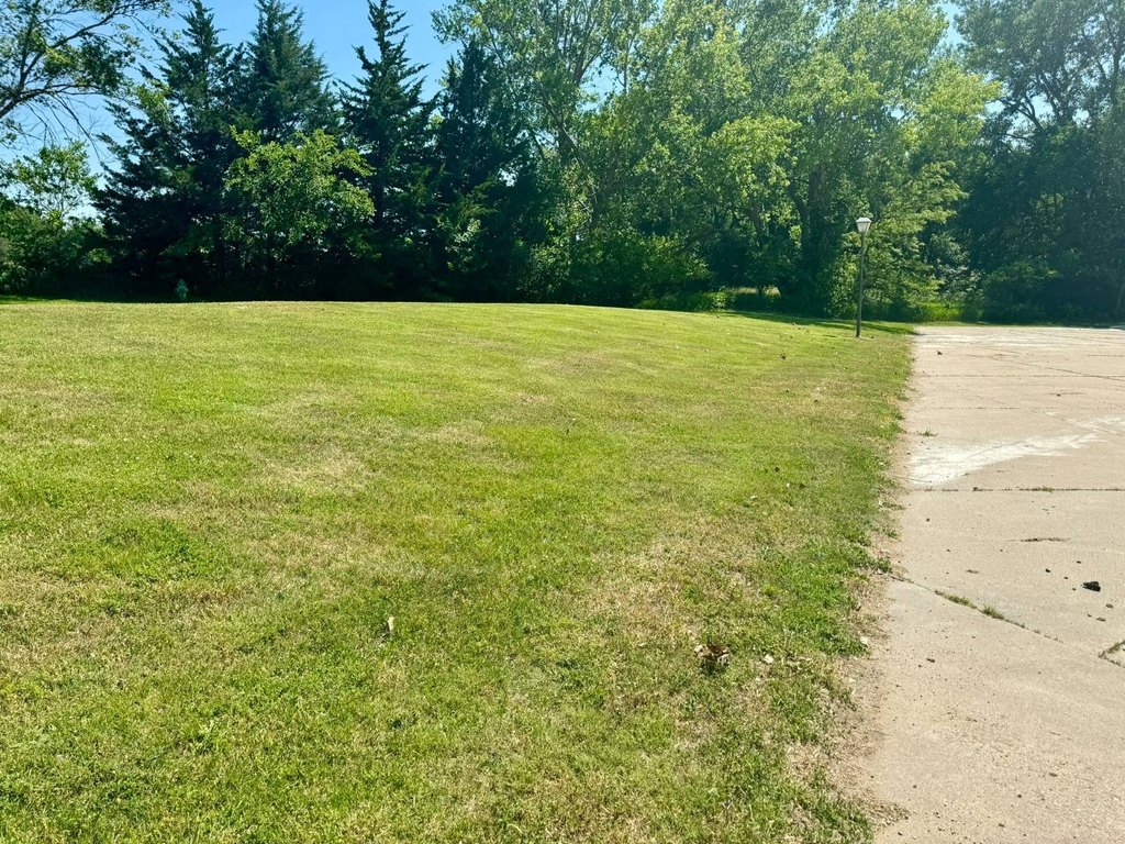 Picture 27