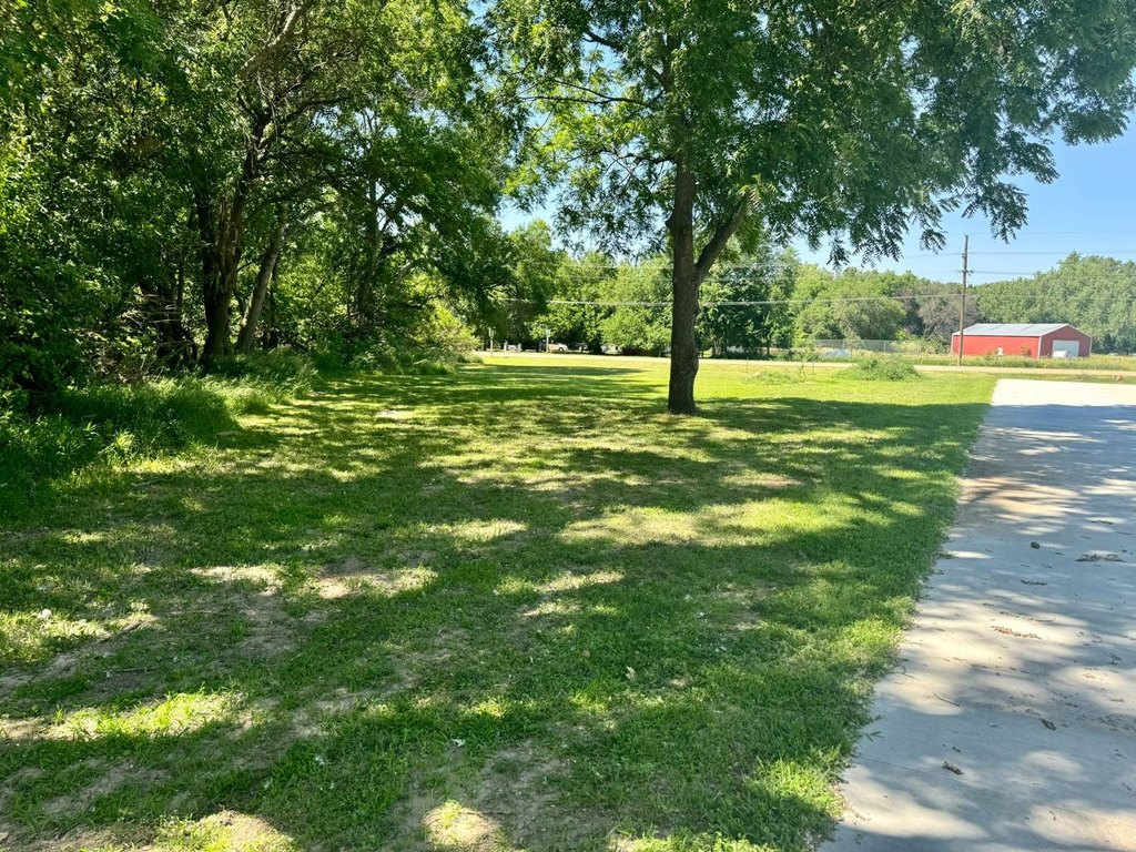 Picture 43