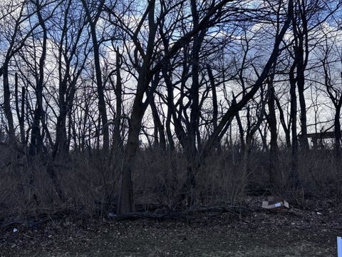 Waterfront Residential Land Lot
