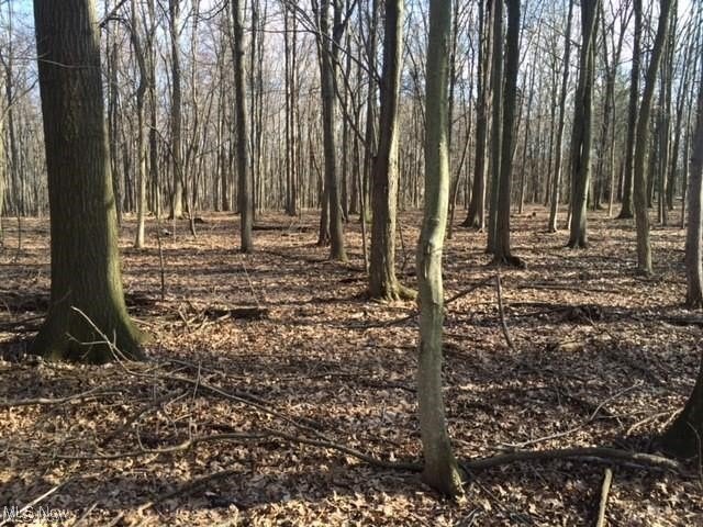 Land in Strongsville, Ohio