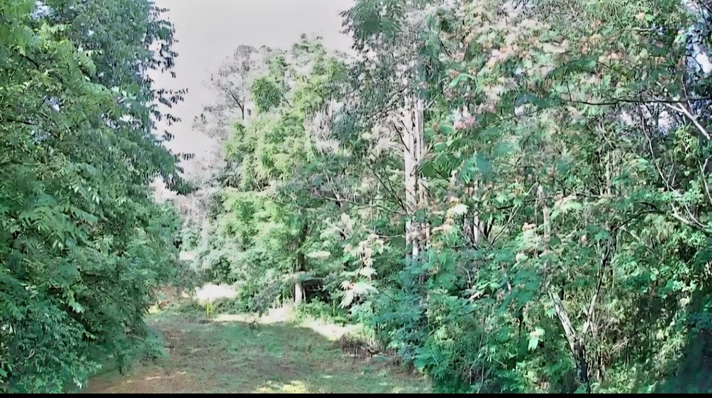 Picture 2