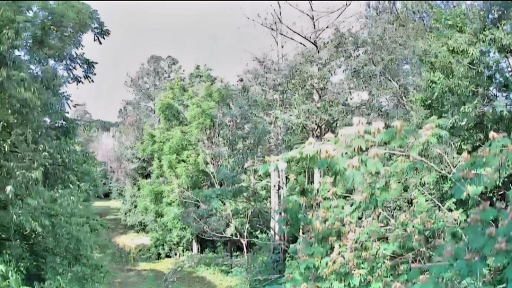 Picture 4