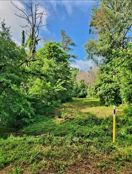 Land, Chickamauga, GA