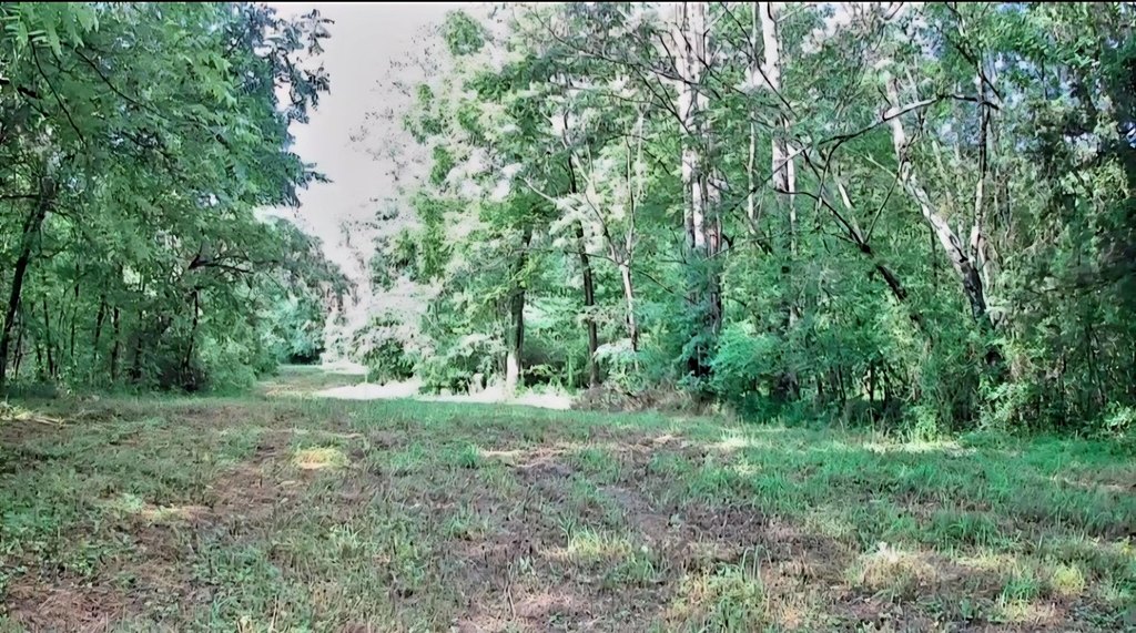 Picture 13