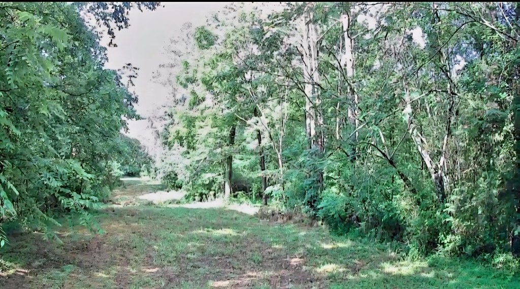 Picture 9