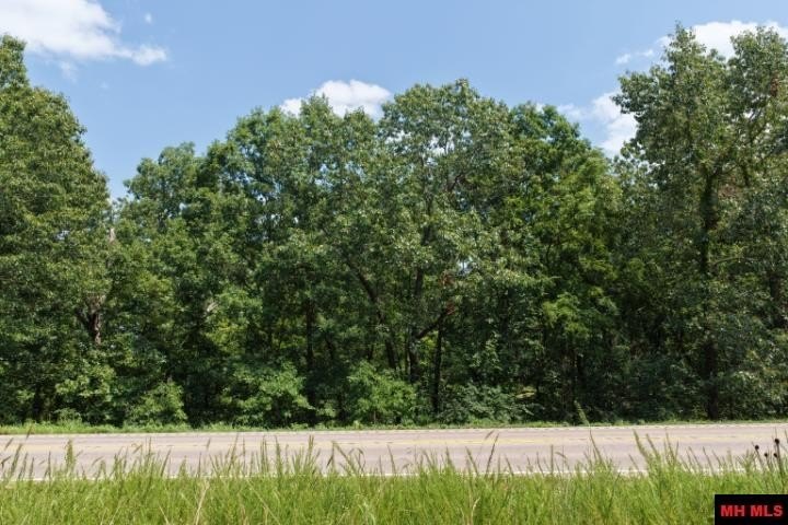 Picture 19