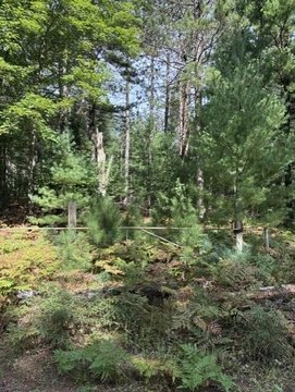 Land, Prudenville, MI