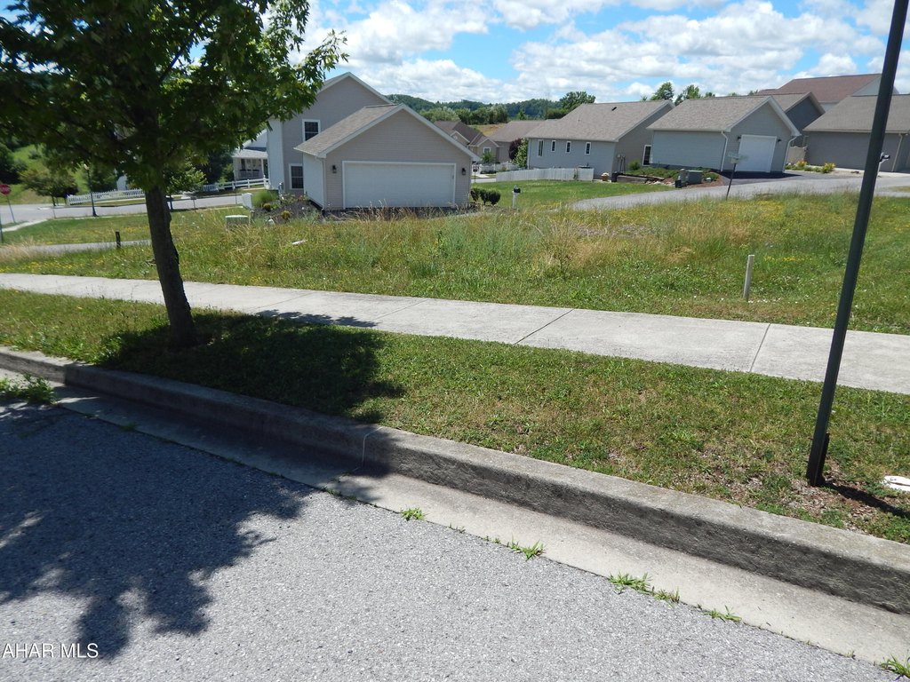 Picture 12
