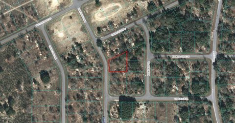 Land For Sale Ocklawaha, FL