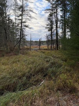 Buildable Lot in Bethel, NY