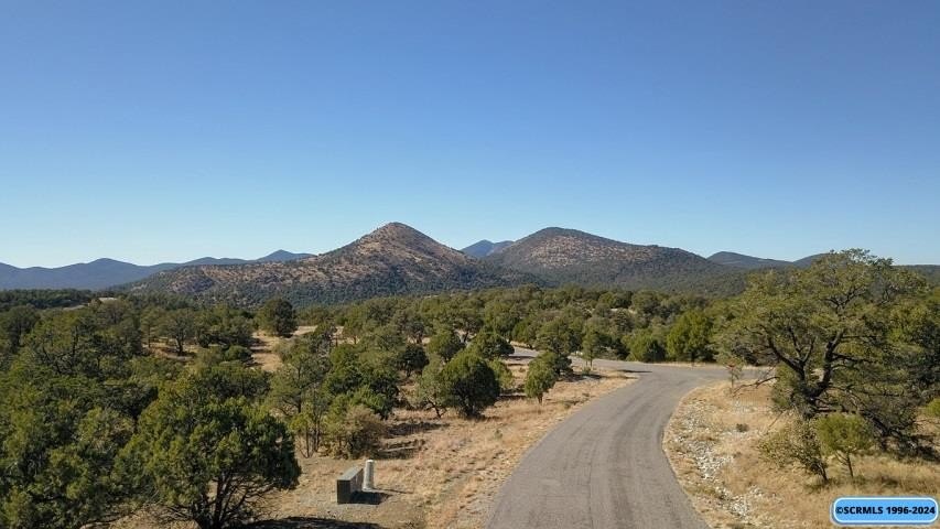 Picture 3