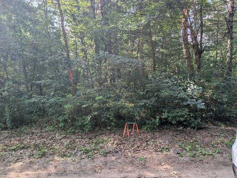 LAND - Baldwin, MI