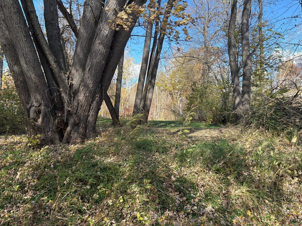 Picture 23