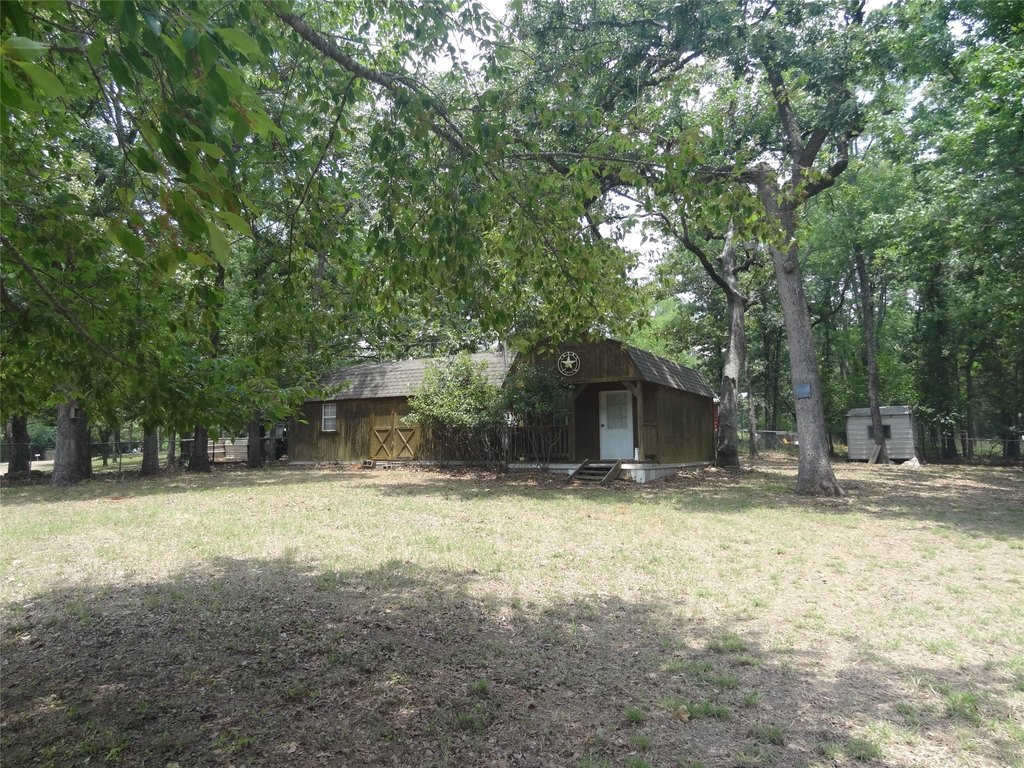 Picture 24
