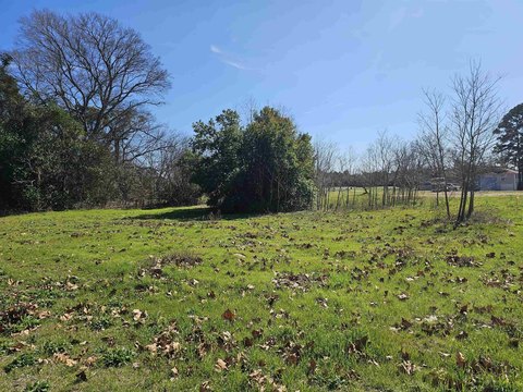 LAND - Big Sandy, TX