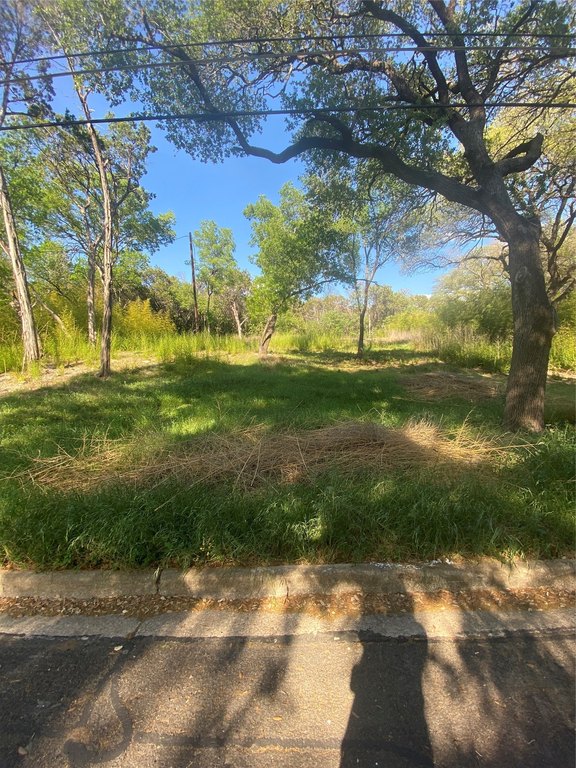 Picture 5